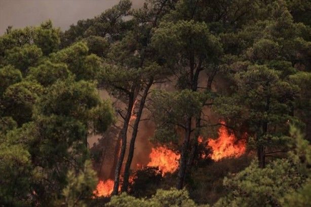 İç acıtan kareler! Havadan görüntülendi 30