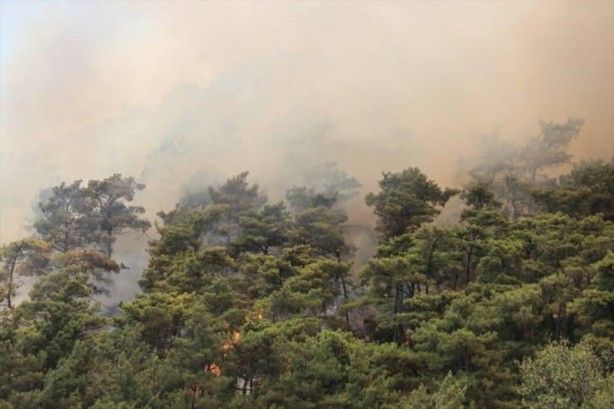 İç acıtan kareler! Havadan görüntülendi 35