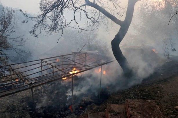 İç acıtan kareler! Havadan görüntülendi 41