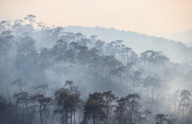 İç acıtan kareler! Havadan görüntülendi 52