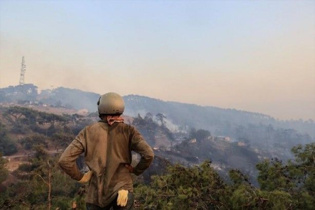 İç acıtan kareler! Havadan görüntülendi 68