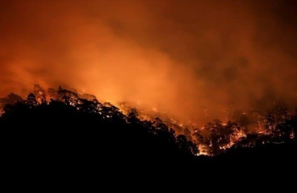 İç acıtan kareler! Havadan görüntülendi 69