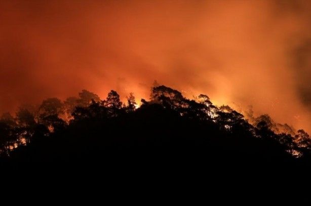 İç acıtan kareler! Havadan görüntülendi 70