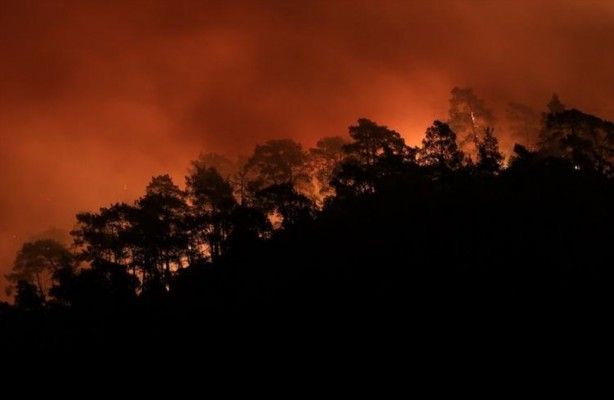 İç acıtan kareler! Havadan görüntülendi 71