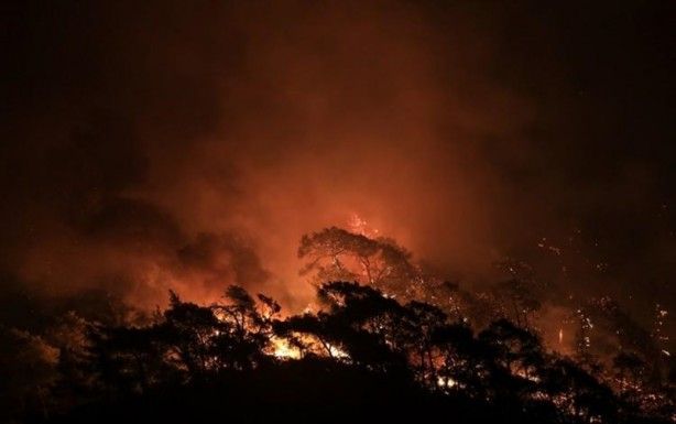 İç acıtan kareler! Havadan görüntülendi 9