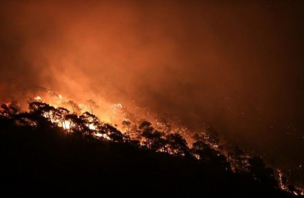 İç acıtan kareler! Havadan görüntülendi 72