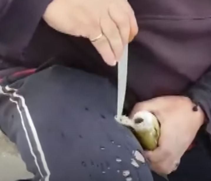 Oltayla yakaladığı balığın ağzını açınca dehşete düştü! 16