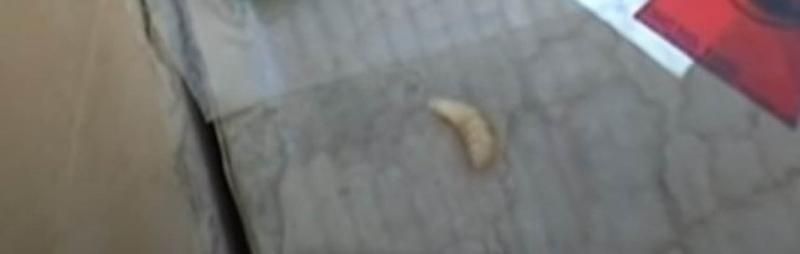 Sivilce zannetti ama gerçek dehşete düşürdü! 67