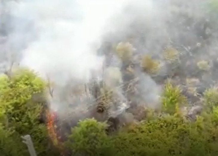 Kundakçıyı fotokapan yakaladı! 1