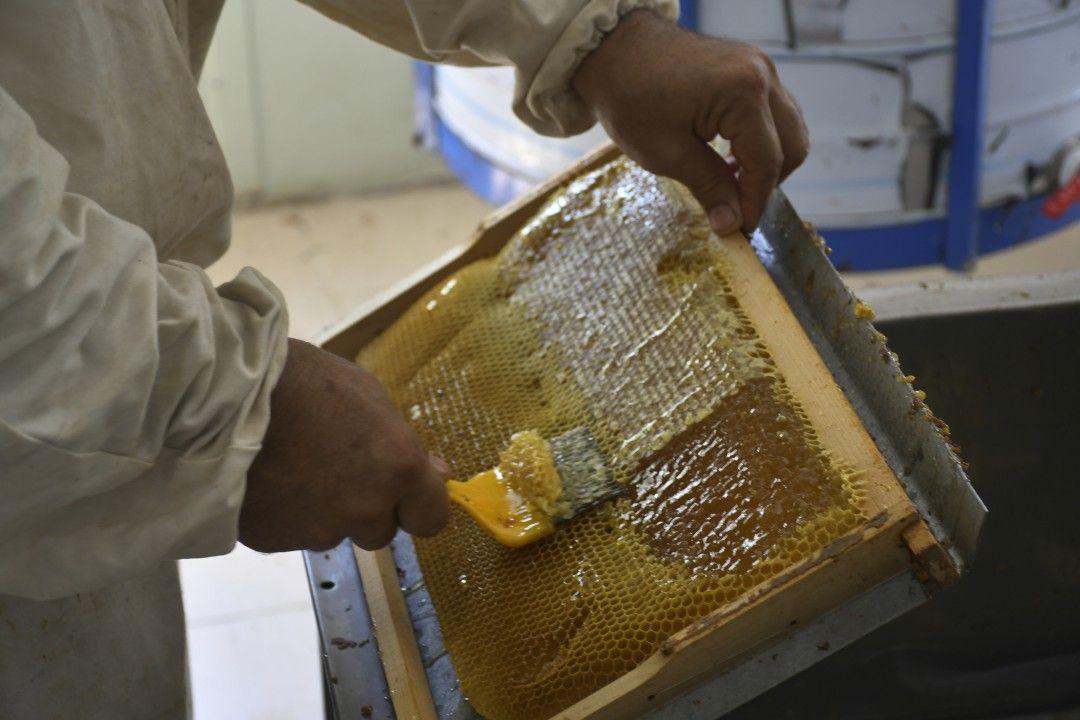 Silivri belediyesinden 'Bal' gibi üretim 1