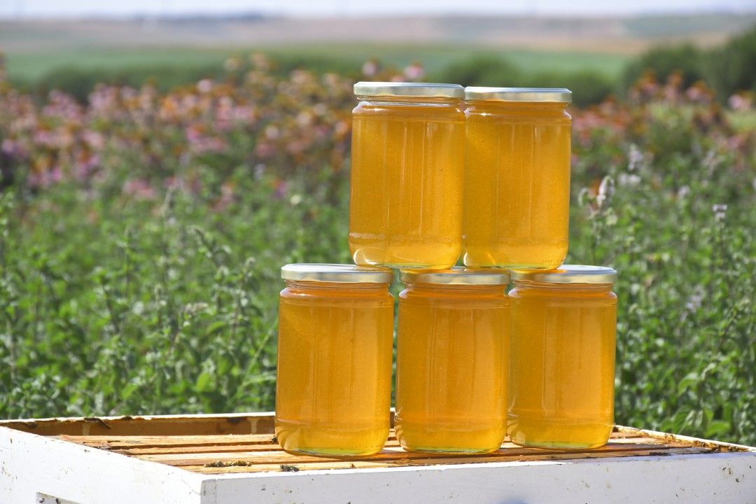 Silivri belediyesinden 'Bal' gibi üretim 3