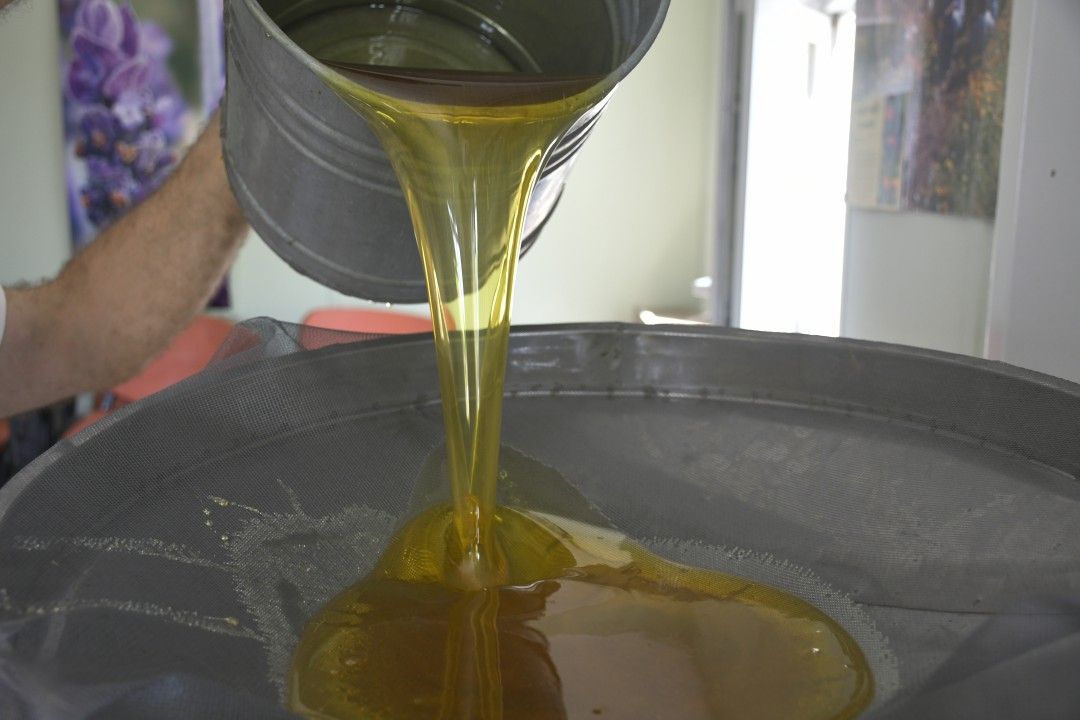 Silivri belediyesinden 'Bal' gibi üretim 6