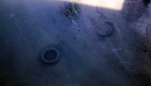 Tunca Nehri'nde içler acısı görüntüler 2