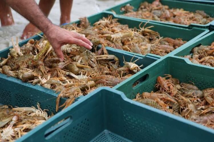 İşletme bitirip köyüne döndü! Ayda 100 bin lira kazanıyor 3