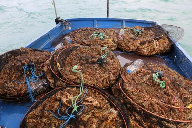 İşletme bitirip köyüne döndü! Ayda 100 bin lira kazanıyor 7