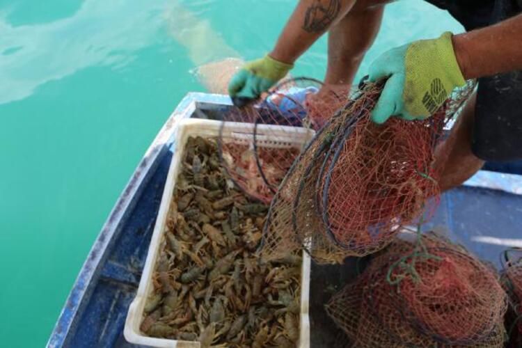 İşletme bitirip köyüne döndü! Ayda 100 bin lira kazanıyor 10