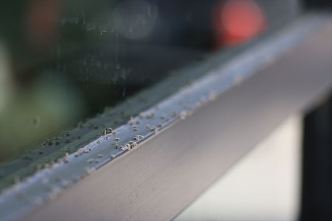 3 şehri adeta istila ettiler! 2