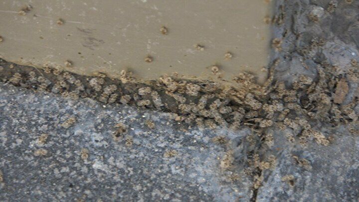 3 şehri adeta istila ettiler! 9