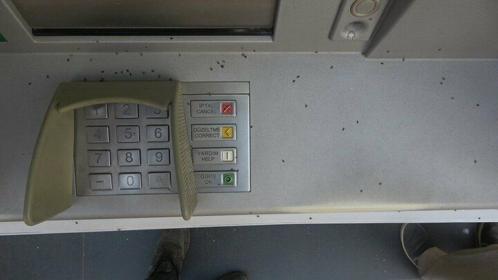 3 şehri adeta istila ettiler! 12