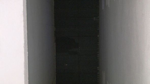 Tiktok videosu için canından oldu! 6