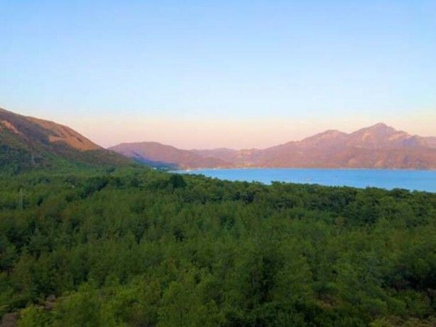 Takibe aldılar! Sırrı çözmeye çalışıyorlar 12