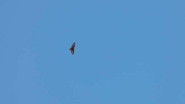 Takibe aldılar! Sırrı çözmeye çalışıyorlar 9