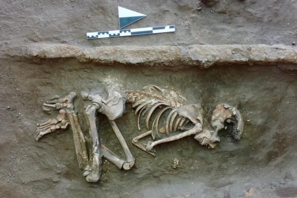 Eskişehir'de bulundu! Görenler şoke oldu 2