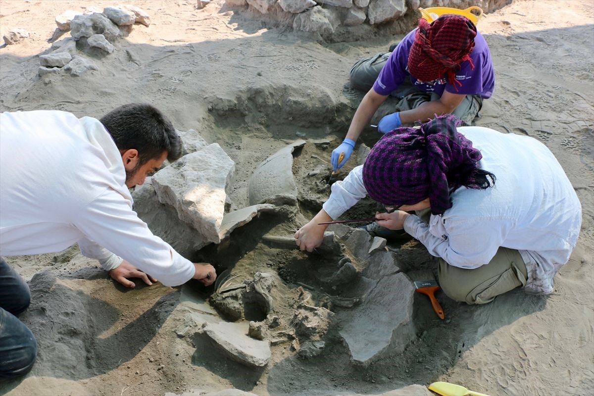 Eskişehir'de bulundu! Görenler şoke oldu 12