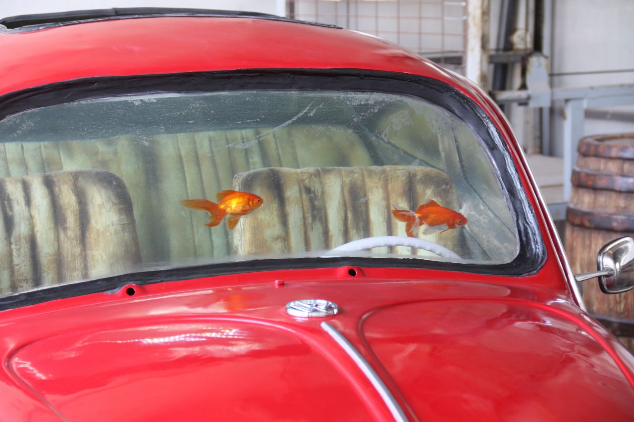 Türkiye'de tek! Özelliğine çok şaşıracaksınız 3