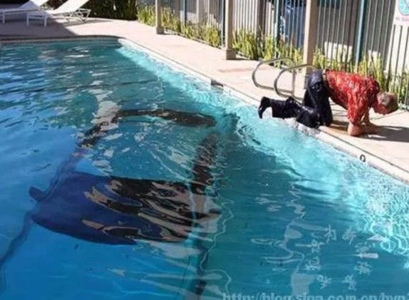 Yok böyle kaza! Gören şoke oluyor 25