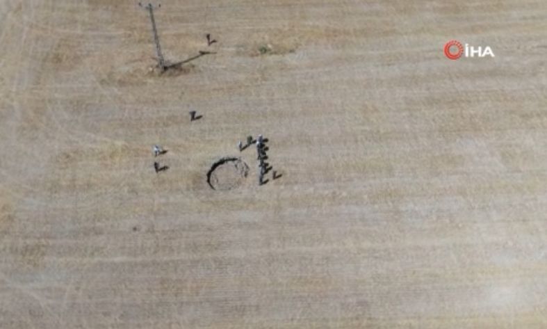 Konya'da görülmüştü! Kâbus, Ankara'da ortaya çıktı! 7