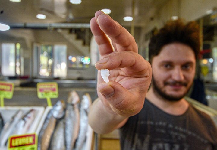 Balığın kafasından çıkıyor, kilosu 600 lira! 2