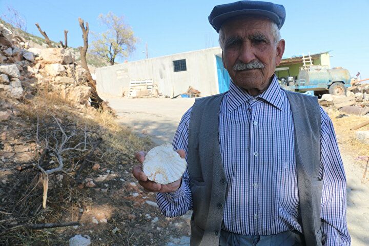 Ormanda buldu, değerini internete bakınca anladı! 2