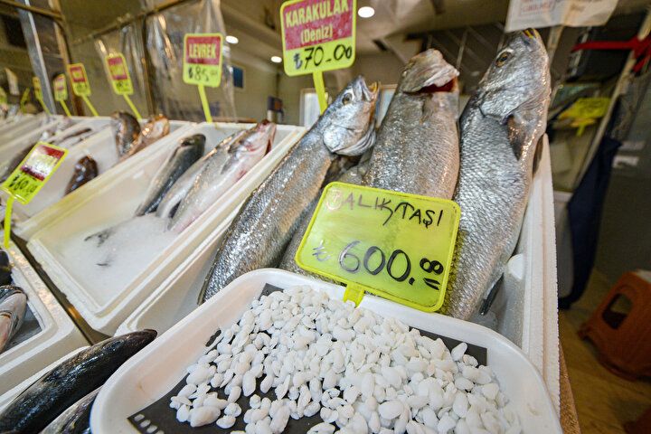Balığın kafasından çıkıyor, kilosu 600 lira! 3
