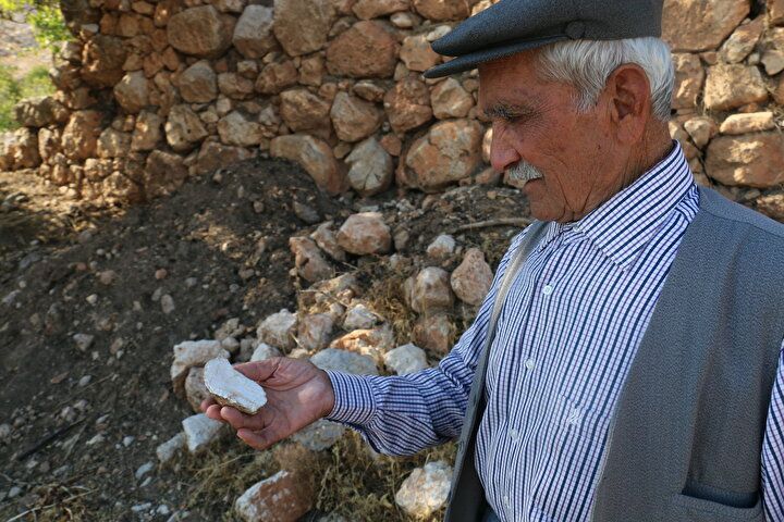 Ormanda buldu, değerini internete bakınca anladı! 3