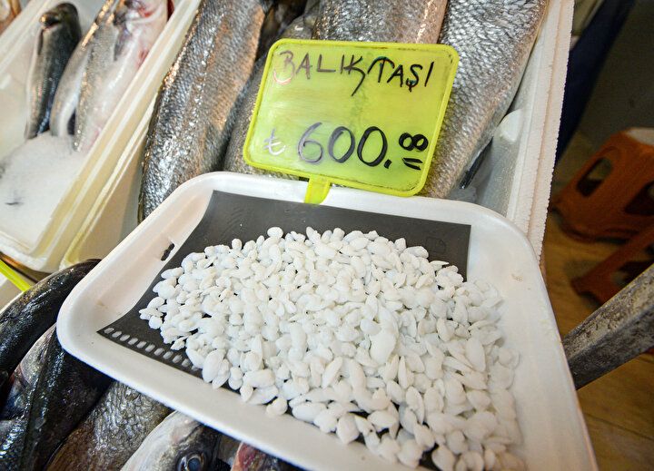 Balığın kafasından çıkıyor, kilosu 600 lira! 4