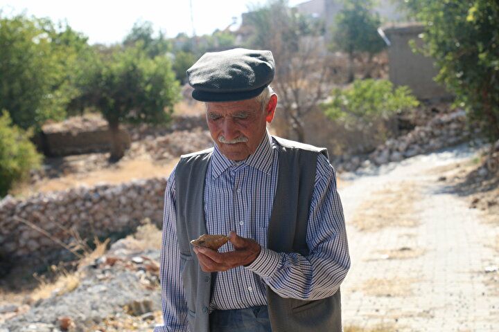 Ormanda buldu, değerini internete bakınca anladı! 5