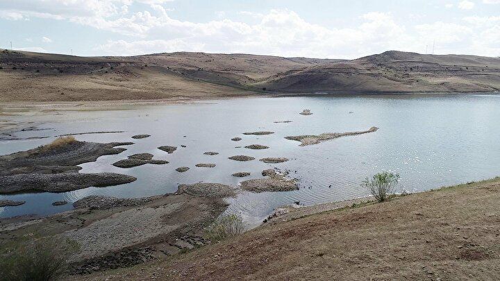 Erzurum'da korkutan görüntü: Sular çekilince ortaya çıktı 9
