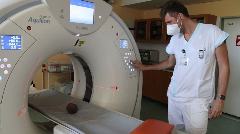 Köpek 14. yüzyıldan beri kayıp hazineyi buldu 3