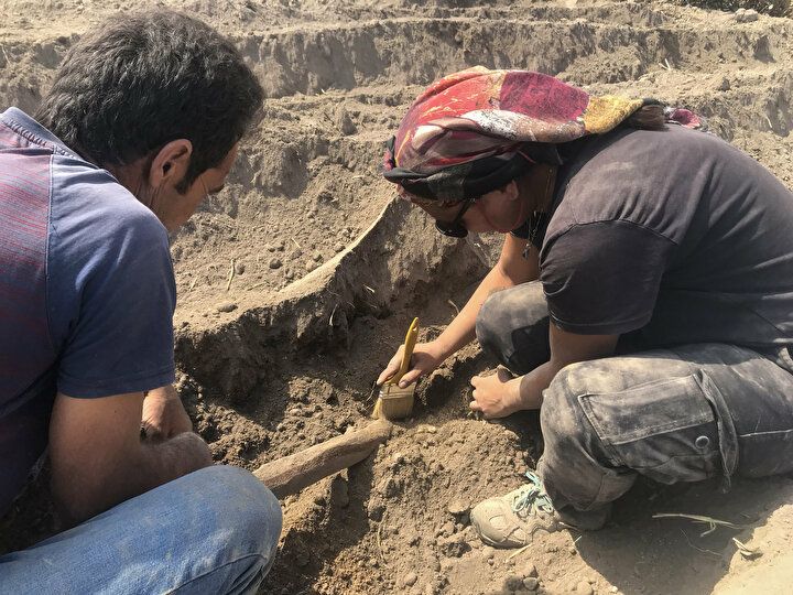 Kahramanmaraş'ta heyecanlandıran olay: Tarlasını sürerken buldu 3