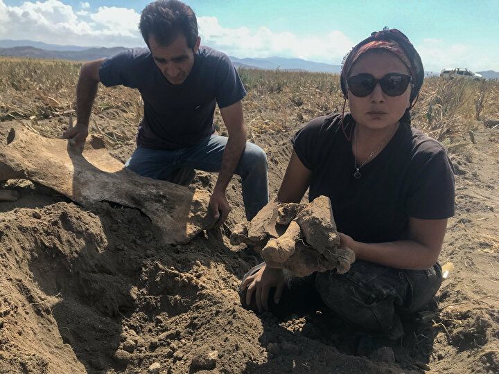 Kahramanmaraş'ta heyecanlandıran olay: Tarlasını sürerken buldu 2