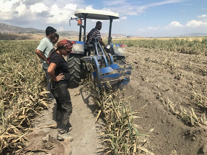 Kahramanmaraş'ta heyecanlandıran olay: Tarlasını sürerken buldu 5