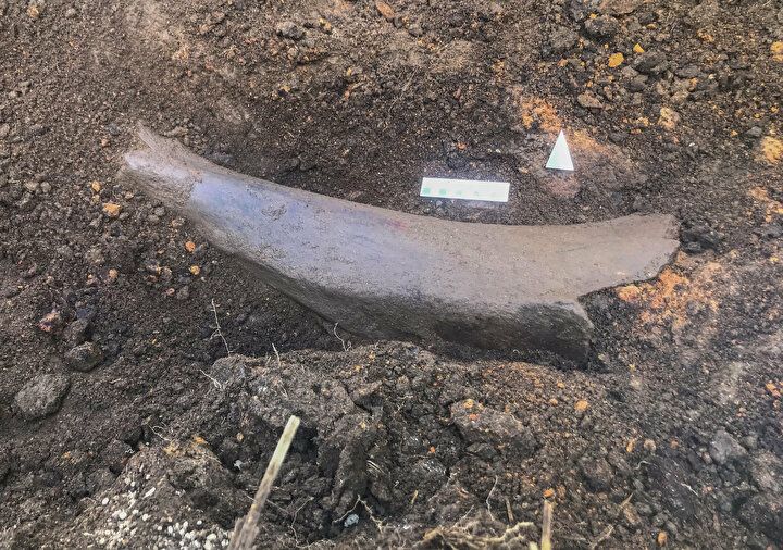 Kahramanmaraş'ta heyecanlandıran olay: Tarlasını sürerken buldu 6