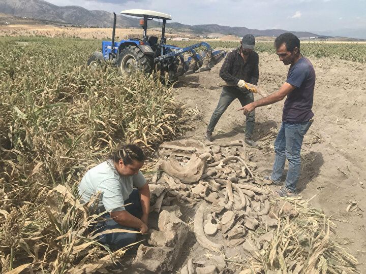 Kahramanmaraş'ta heyecanlandıran olay: Tarlasını sürerken buldu 7