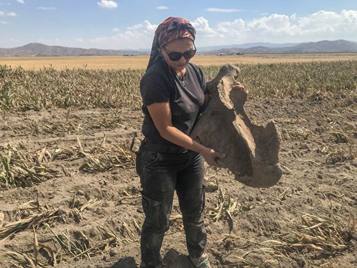 Kahramanmaraş'ta heyecanlandıran olay: Tarlasını sürerken buldu 4