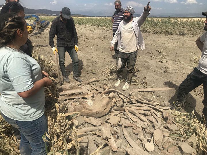 Kahramanmaraş'ta heyecanlandıran olay: Tarlasını sürerken buldu 15