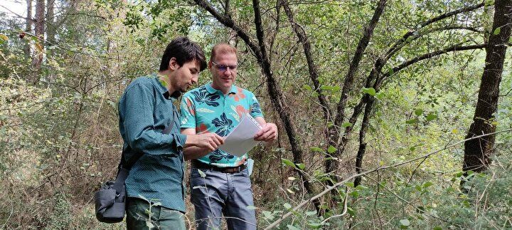 Bursa'da yetiştiriyor, kilosunu 4 bin avroya satıyor 8