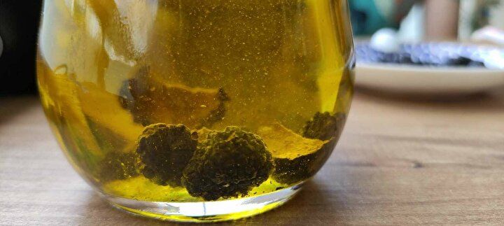 Bursa'da yetiştiriyor, kilosunu 4 bin avroya satıyor 9