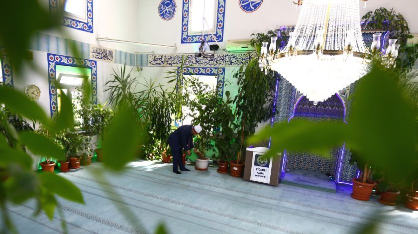 Böyle cami ne görüldü ne de duyuldu! 4