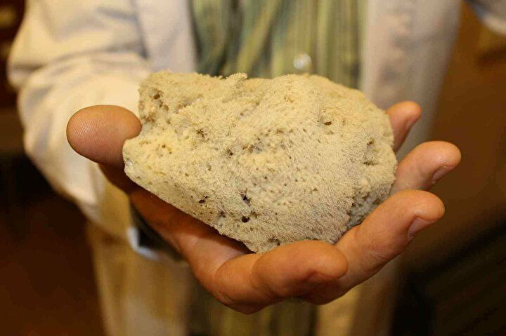 Kilosu 4 bin lira: Kıymetini çok az insan biliyor 4